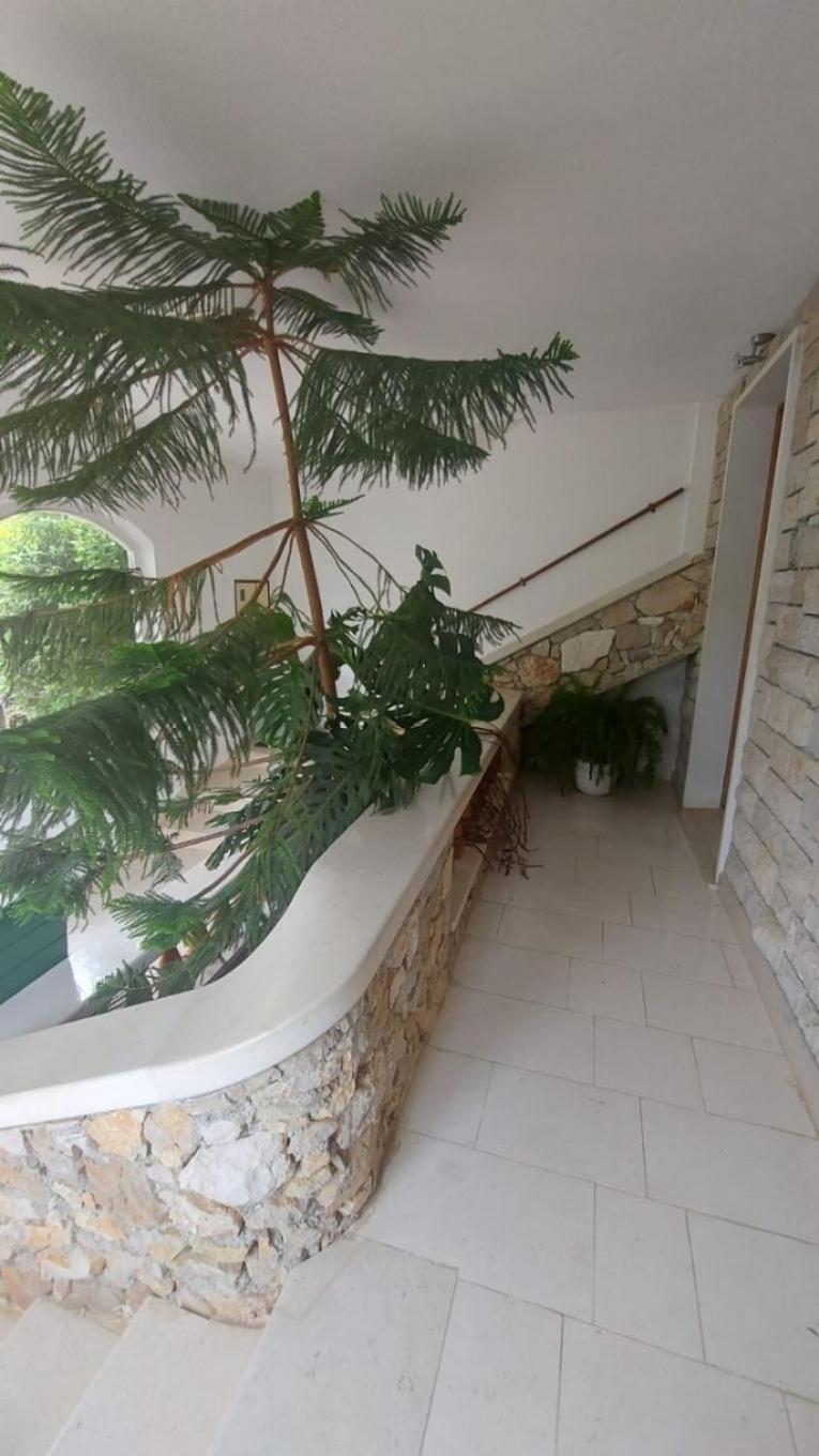 Apartment Brane Бол Екстер'єр фото
