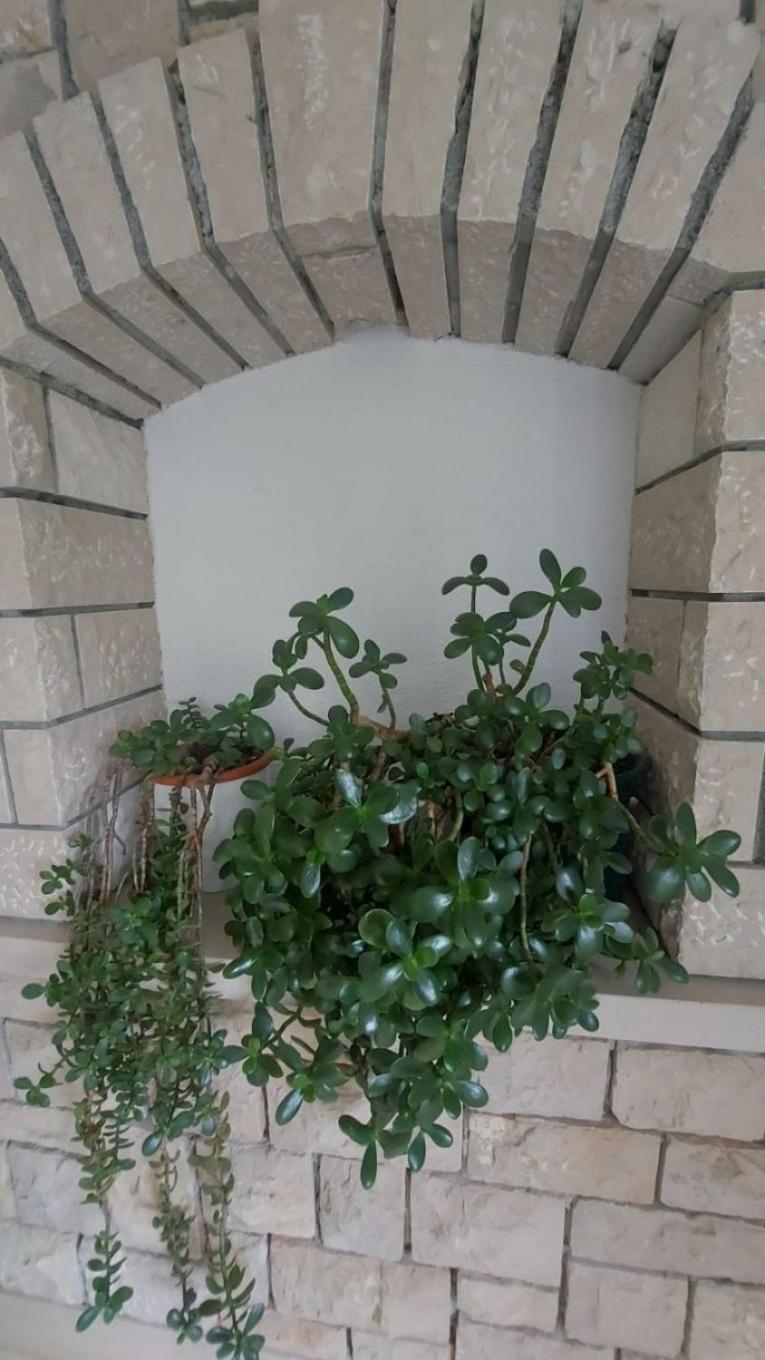 Apartment Brane Бол Екстер'єр фото